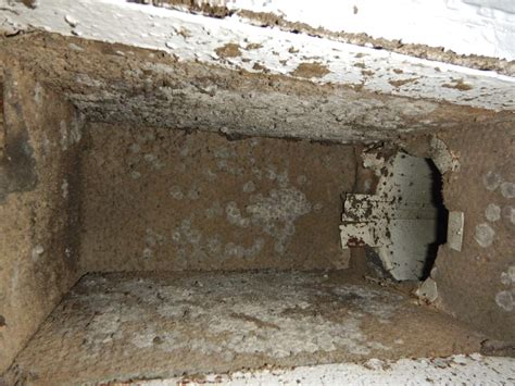 ac distribution box insulation is moldy|mold in hvac ducts.